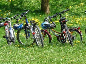 bicycles-6895_1920